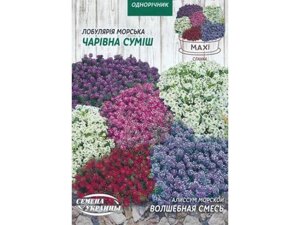 Максі аліссум морський волшебная смесь 2г (10 пачок) тм насіння україни