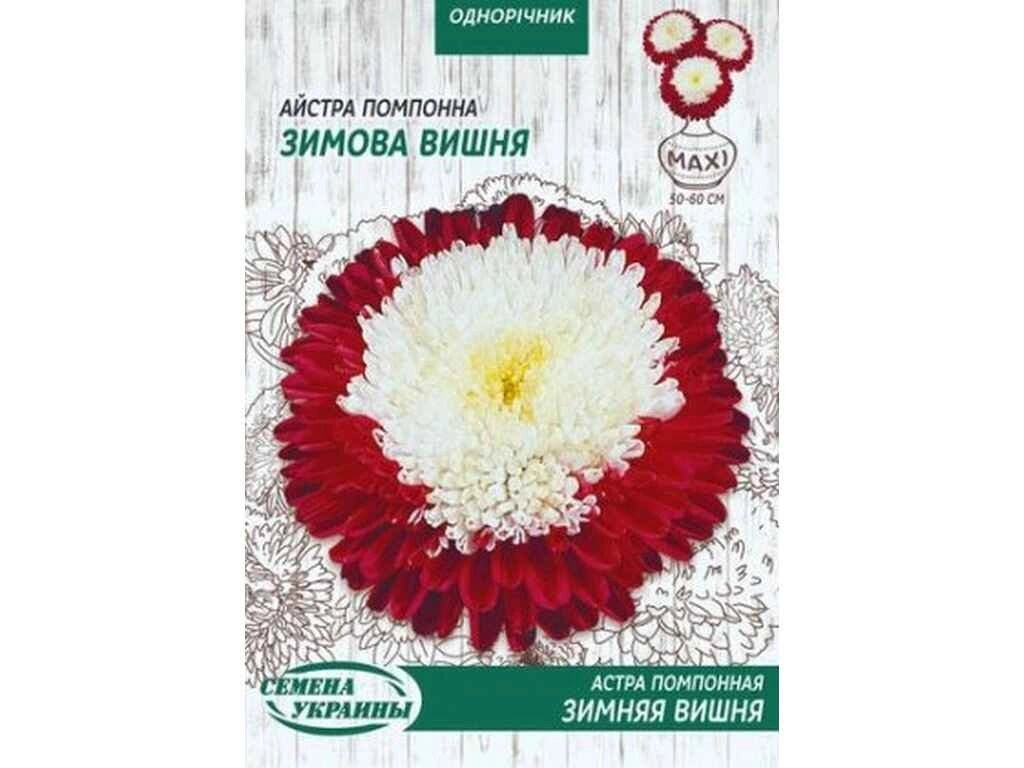 Максі Айстра помпон. ЗИМНЯЯ ВИШНЯ 3г (10 пачок) ТМ НАСІННЯ УКРАЇНИ від компанії Фортеця - фото 1