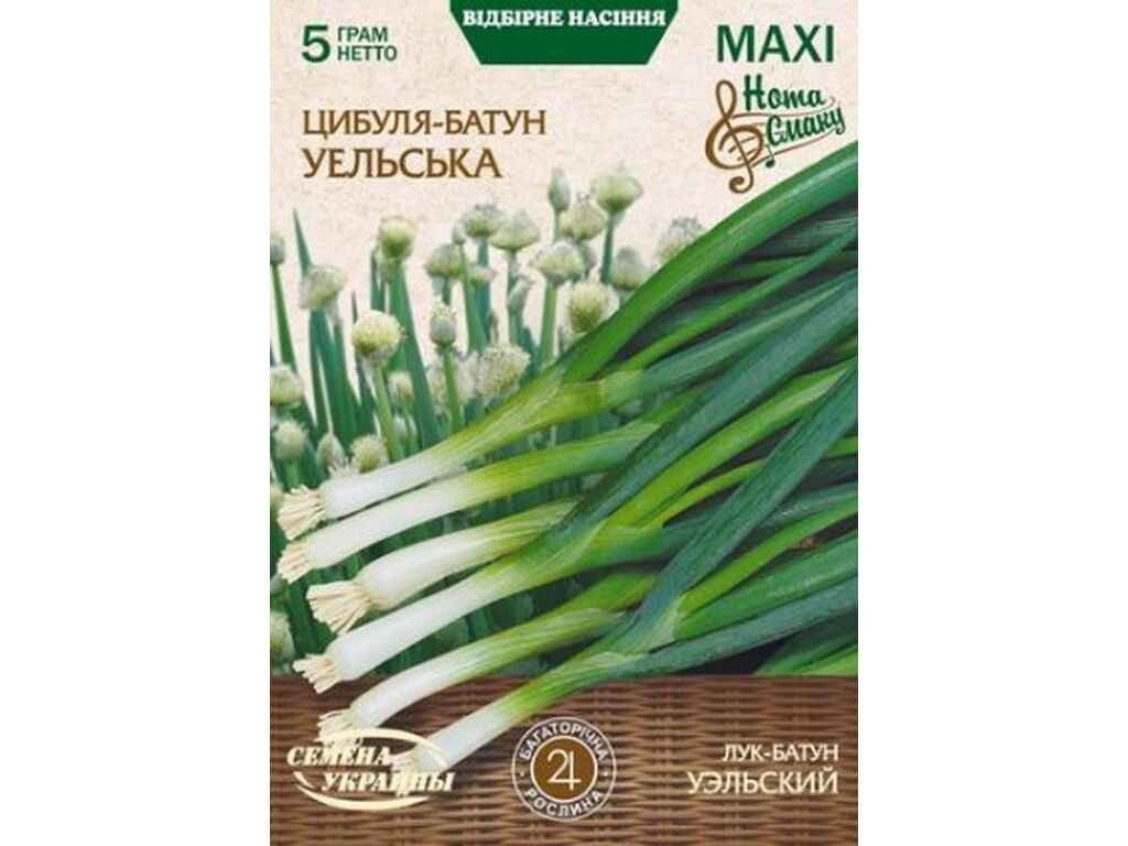 Максі Цибуля-батун УЕЛЬСЬКА 5г (10 пачок) ТМ НАСІННЯ УКРАЇНИ від компанії Фортеця - фото 1