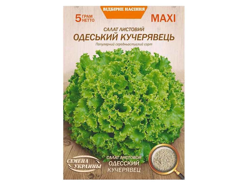 Максі Салат листовий ОДЕССКИЙ КУЧЕРЯВЕЦ 5г (10 пачок) (сс) ТМ НАСІННЯ УКРАЇНИ від компанії Фортеця - фото 1