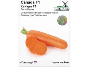 Морква Канада F1 1г /5 пачок в упаковці) ТМ Beste Kern