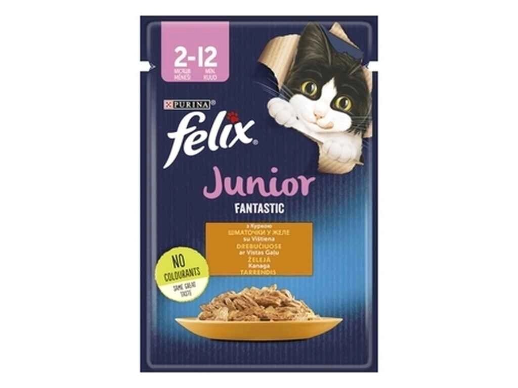 Павук для кошенят Junior Fantastic / Курка у желе (FELIX) 85г ТМ PURINA від компанії Фортеця - фото 1