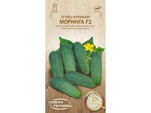 Огірок корнішон Моринга F1 ОВ 0,25г (20 пачок) (рс) ТМ НАСІННЯ УКРАЇНИ