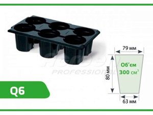 Касета для розсади 300х170мм, XD6 пластик 6 яч. Q6 ТМ AGREEN