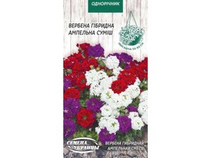 Вербена гібридна Ампельна (суміш) ОД (10 пачок) 0,1г ТМ НАСІННЯ УКРАЇНИ