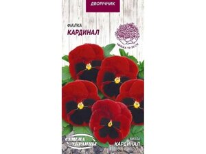 Фіалка КАРДИНАЛ 0,05г (10 пачок) ТМ НАСІННЯ УКРАЇНИ