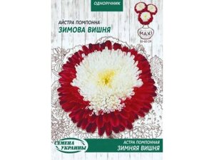 Максі Айстра помпон. ЗИМНЯЯ ВИШНЯ 3г (10 пачок) ТМ НАСІННЯ УКРАЇНИ