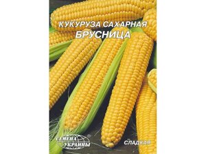 Гігант Кукурудза цукрова Брусница 20г (10 пачок) ТМ НАСІННЯ УКРАЇНИ