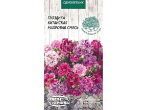 Гвоздика Китайська махрова (суміш) ОД 0,2г (10 пачок) ТМ НАСІННЯ УКРАЇНИ