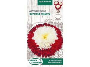 Астра помпонна ЗИМОВА ВИШНЯ (біло-червона) ОД (10 пачок) 0,25г ТМ НАСІННЯ УКРАЇНИ