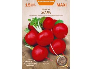 Максі Редис ЖАРА 15г (10 пачок) (рс) ТМ НАСІННЯ УКРАЇНИ