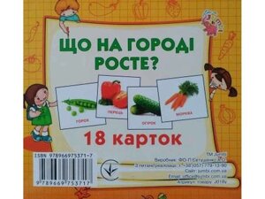 Розвиваючі картки міні (18 карток): Що росте на городі (у) ТМ Jumbi