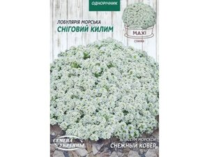 Максі Аліссум морський СНІГОВИЙ КИЛИМ 5г (10 пачок) ТМ НАСІННЯ УКРАЇНИ