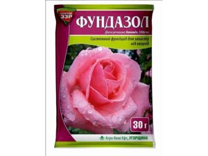 Системний фунгіцид проти грибкових хвороб Фундазол 15г ТМ СЕКТОР СЗР
