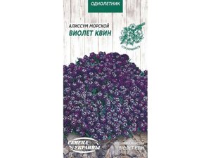 Аліссум морський Виолет Квин (фіолетовий) 0,1г (10 пачок) ТМ НАСІННЯ УКРАЇНИ