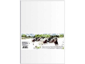 Картон білий 10 аркушів набір А2, в п/п пакеті КА2010Е ТМ ОФОРТ