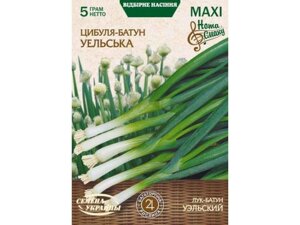 Максі Цибуля-батун УЕЛЬСЬКА 5г (10 пачок) ТМ НАСІННЯ УКРАЇНИ