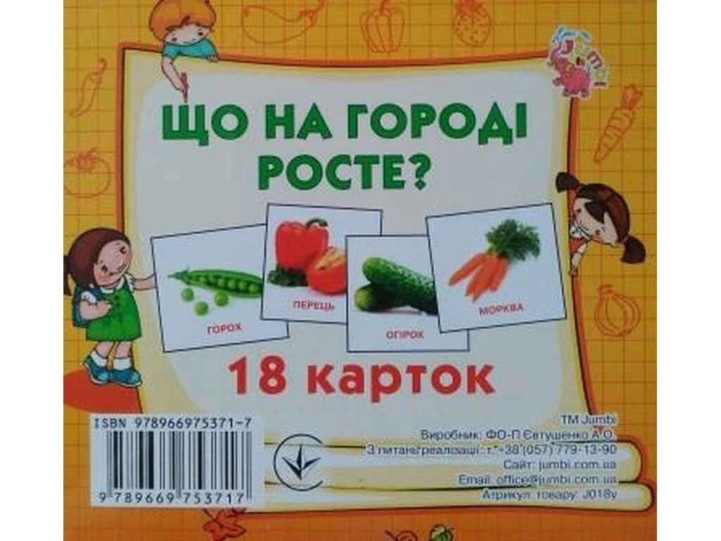 Розвиваючі картки міні (18 карток): Що росте на городі (у) ТМ Jumbi від компанії Фортеця - фото 1