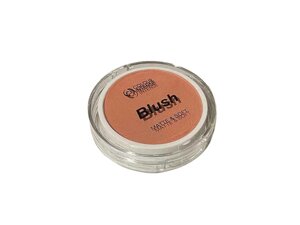 Рум'яна 12г для обличчя BLUSH 01 натуральний ТМ Сolour Intense