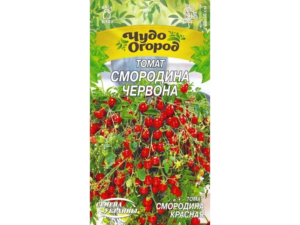 Томат низькорослий ЧудО СМОРОДИНА ЧЕРВОНА 0,1г (10 пач) (рс) ТМ НАСІННЯ УКРАЇНИ від компанії Фортеця - фото 1