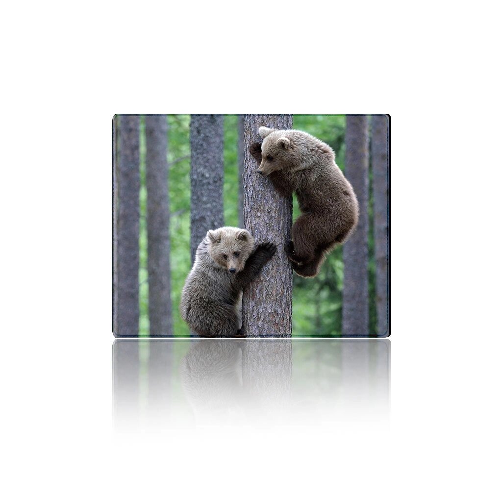 Килимок 250*300 тканинної Two Bears, з бічною прошивкою, товщина 2 мм від компанії Price Killer - фото 1