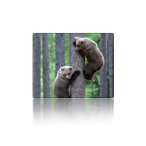 Килимок 250*300 тканинної Two Bears, з бічною прошивкою, товщина 2 мм