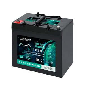 Акумуляторна батарея EVEREXCEED LiFePO4 12,8V 60Ah 4000 цикл