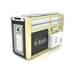 Радіоприймач GOLON RX381BT, LED, 3W, AM/FM радіо, Входи microSD, USB, Bluetooth, живлення від 220+АКБ+2*LR20, корпус
