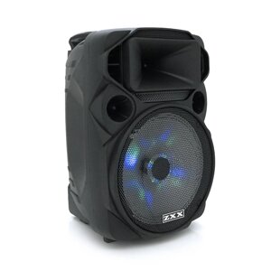 Потужна акустична система з підсвічуванням ZXX-1209, 30W, Bluetooth мікрофон, вбудований акум 2600mAh, харчування 220В,