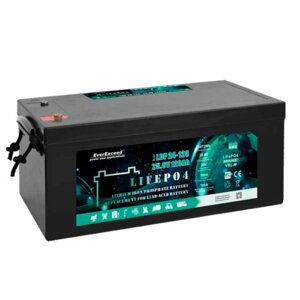 Акумуляторна батарея EVEREXCEED LiFePO4 24V 100Ah 4000 цикл