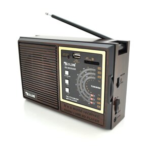 Радіоприймач GOLON RX9933UAR, 6W, AM/FM радіо, Входи microSD, USB, живлення від 220+АКБ+4*LR20, корпус пластмас