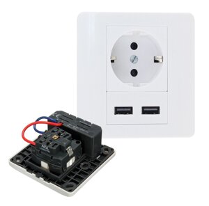 Розетка врізна, Input: AC 100-250V 16A, 2-USB- виходу, White