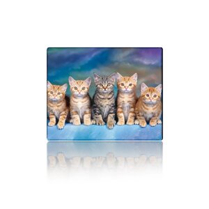 Килимок 250*300 тканинної Five Cats, з бічною прошивкою, товщина 2 мм