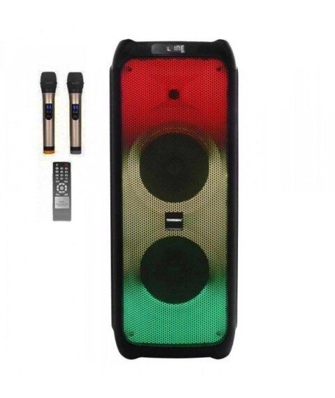 Bluetooth колонка ProAudio 210-08 250 Вт 2 два мікрофони LED Світломузика/USB/FM/ від компанії Магазин "Astoria-gold" - фото 1