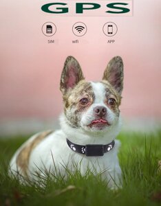 GPS-трекер P03 для пошуку хатніх тварин GSM AGPS LBS Wifi великий акумулятор