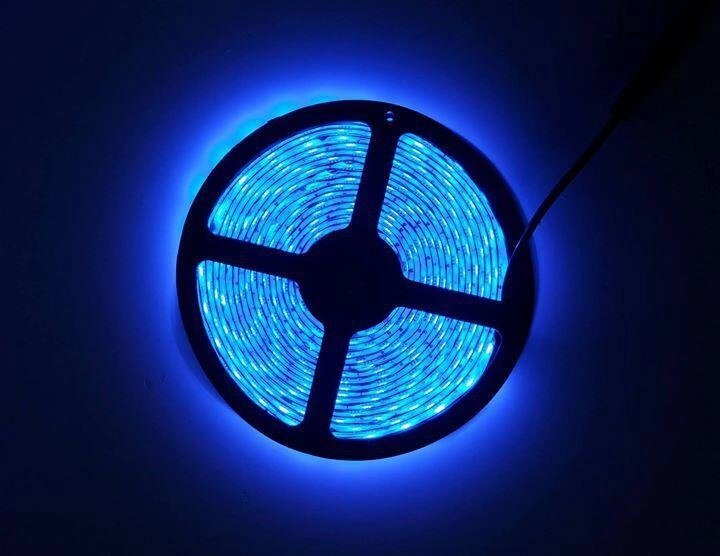 LED Стрічки (5050) Blue - Блакитна - Синій довжина 5 метрів Лід (відеоогляд) від компанії Магазин "Astoria-gold" - фото 1