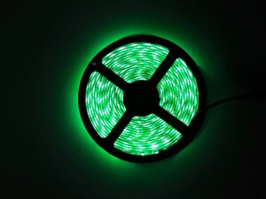 LED Стрічки (5050) Green - Зелений довжина 5 метрів Лід (відеоогляд)