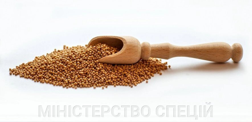 Гірчиця зерно, 500г від компанії МІНІСТЕРСТВО спецій - фото 1