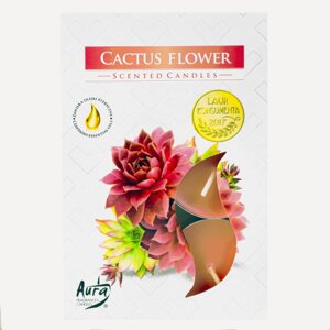 Свічка таблетка ароматична Сactus flower, Bispol. В упаковці 6 штук. Польща.