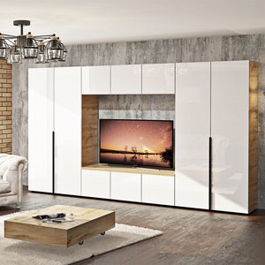 Стенка модульна Флекс МС-4335 в вітальню