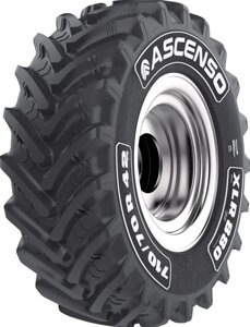 Вантажні шини Ascenso XLR 880 ( с / г ) 600/65 R28 154D Індія 2023 — Оплата Частинами