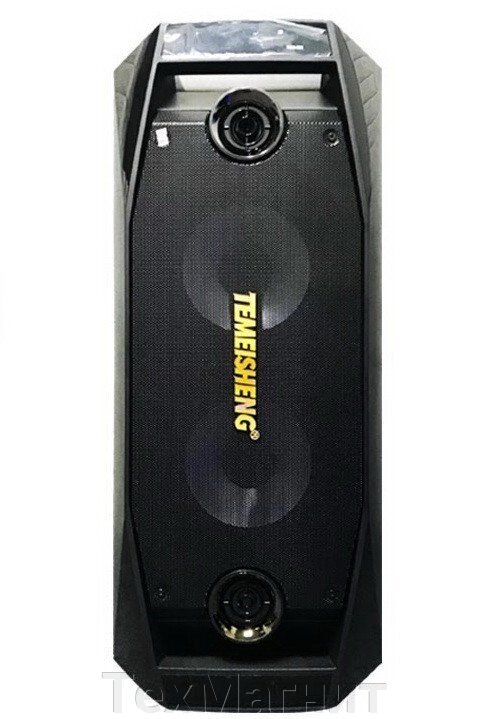 Акумуляторна колонка з підсилювачем TMS-802 з двома мікрофонами від компанії ТехМагніт - фото 1