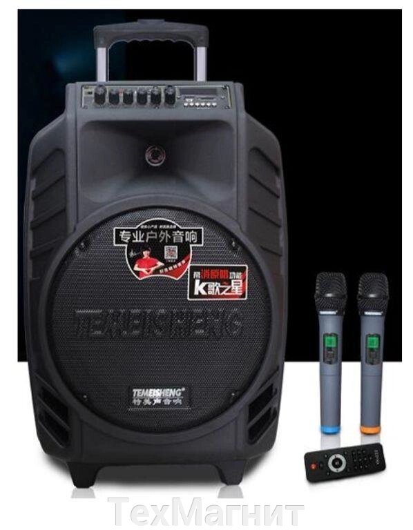 Колонка з акумулятором Temeisheng SL15-08, 2 мікрофона, МР3, BLUETOOTH, USB,SD Репліка від компанії ТехМагніт - фото 1