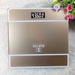 Ваги підлогові електронні Iscale S до 1804 кг з датчиком температури