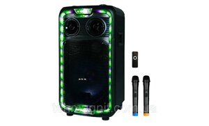 Акустична переносна колонка TMG ZXX-1290  c двома мікрофонами з підсвічуванням в Одеській області від компанії ТехМагнит