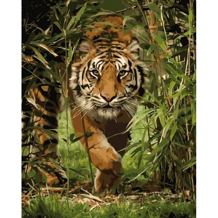 Картина по номерам "Король джунглей" Идейка холст на подрамнике 40x50см КНО4043 від компанії Оптово-роздрібний магазин канцтоварів «ШКОЛЯРИК» - фото 1