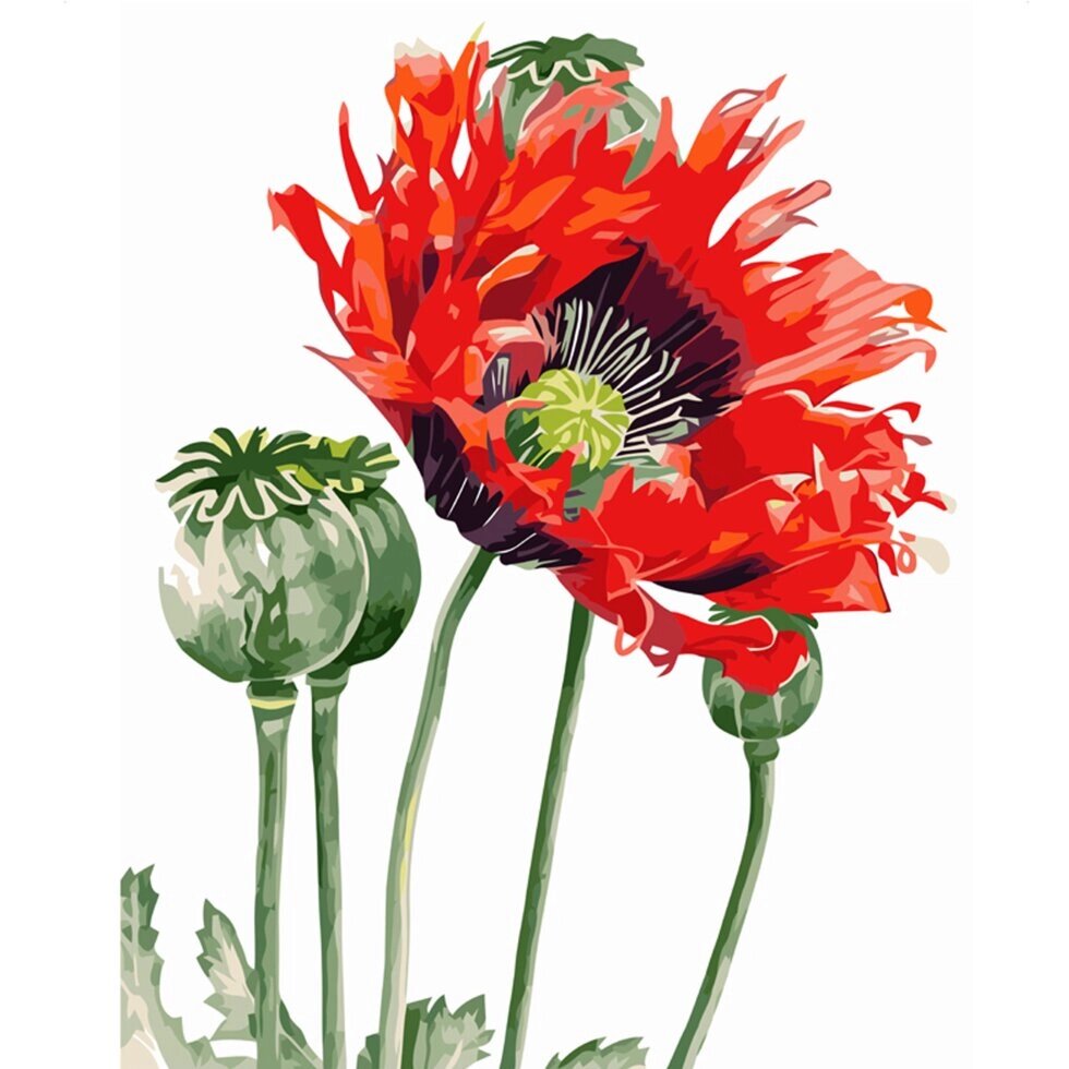 Картина за номерами Маковий квітка, 40х50 см (VA-0869) від компанії Оптово-роздрібний магазин канцтоварів «ШКОЛЯРИК» - фото 1
