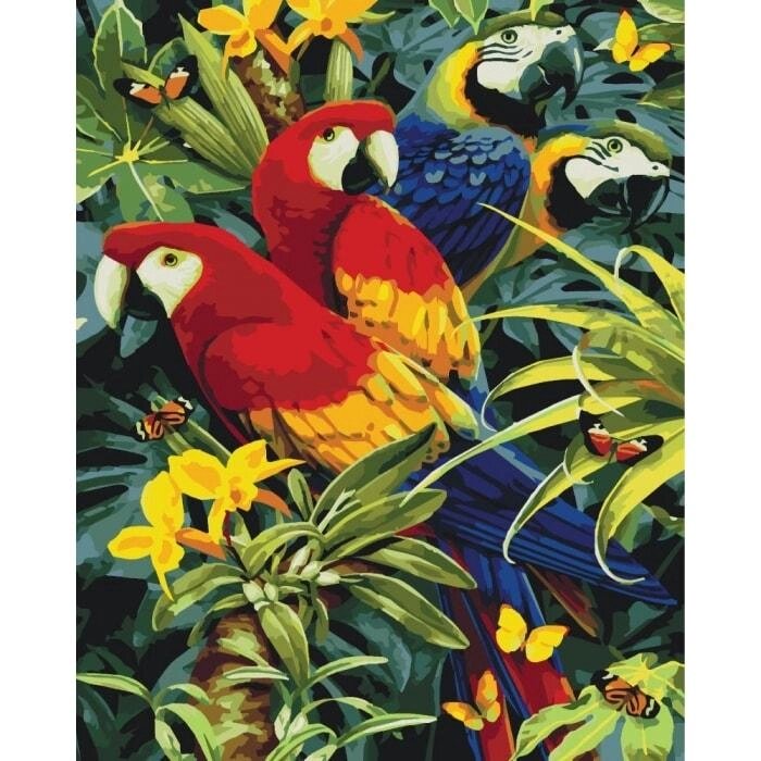 Картина за номерами "Різнобарвні папуги" ідейки полотно на підрамнику 40x50см КНО4028 від компанії Оптово-роздрібний магазин канцтоварів «ШКОЛЯРИК» - фото 1