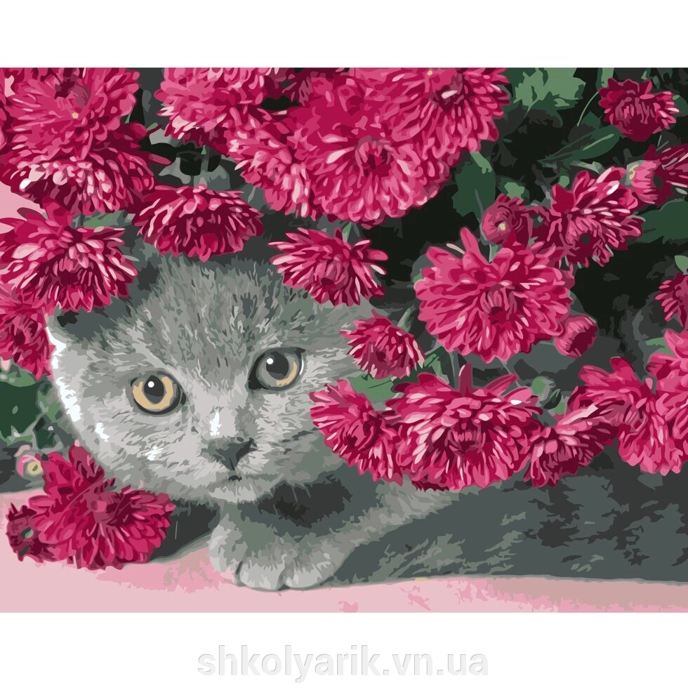 Картина за номерами Сірий кіт в кольорах, 40х50 см (VA-0586) від компанії Оптово-роздрібний магазин канцтоварів «ШКОЛЯРИК» - фото 1