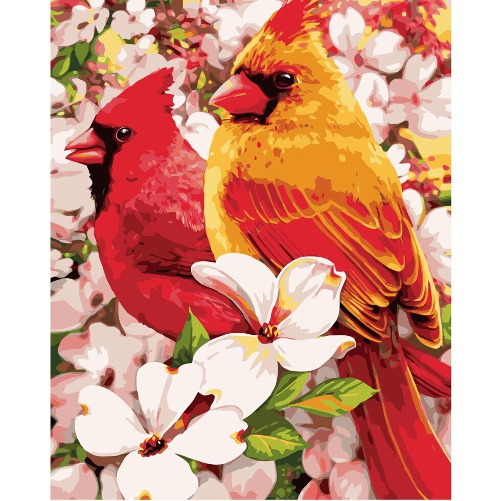 Картина за номерами Strateg Птахи в кольорах, 40х50 см від компанії Оптово-роздрібний магазин канцтоварів «ШКОЛЯРИК» - фото 1